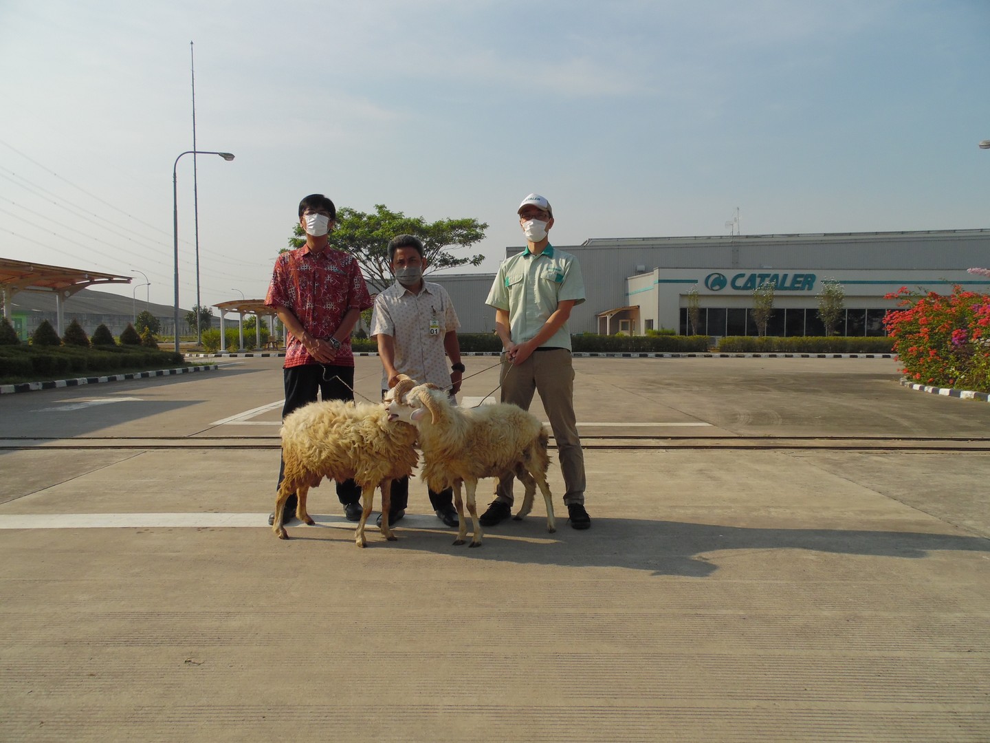 Bantuan Hewan Qurban